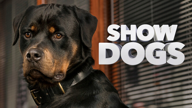 Show Dogs